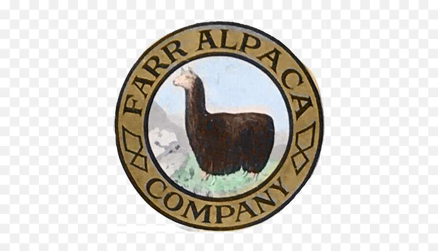 Farr Alpaca Company - Llama Png,Alpaca Png