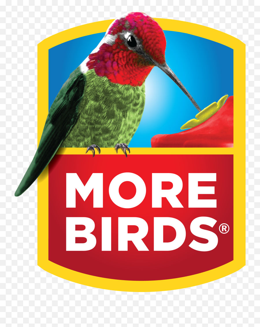 More - Birds Hummingbirdlogo Classic Brands Ed Markey For Us Senate Logo Png,Hummingbird Png