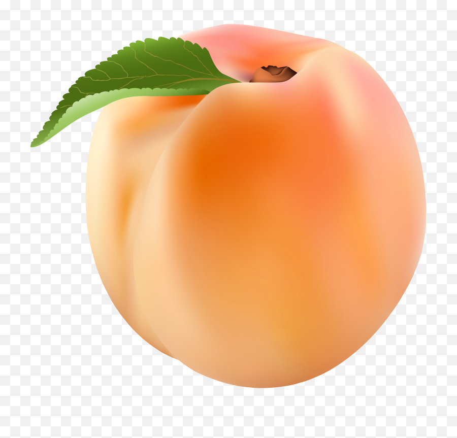 Download Peach Png Clip Art Image Transparent Background