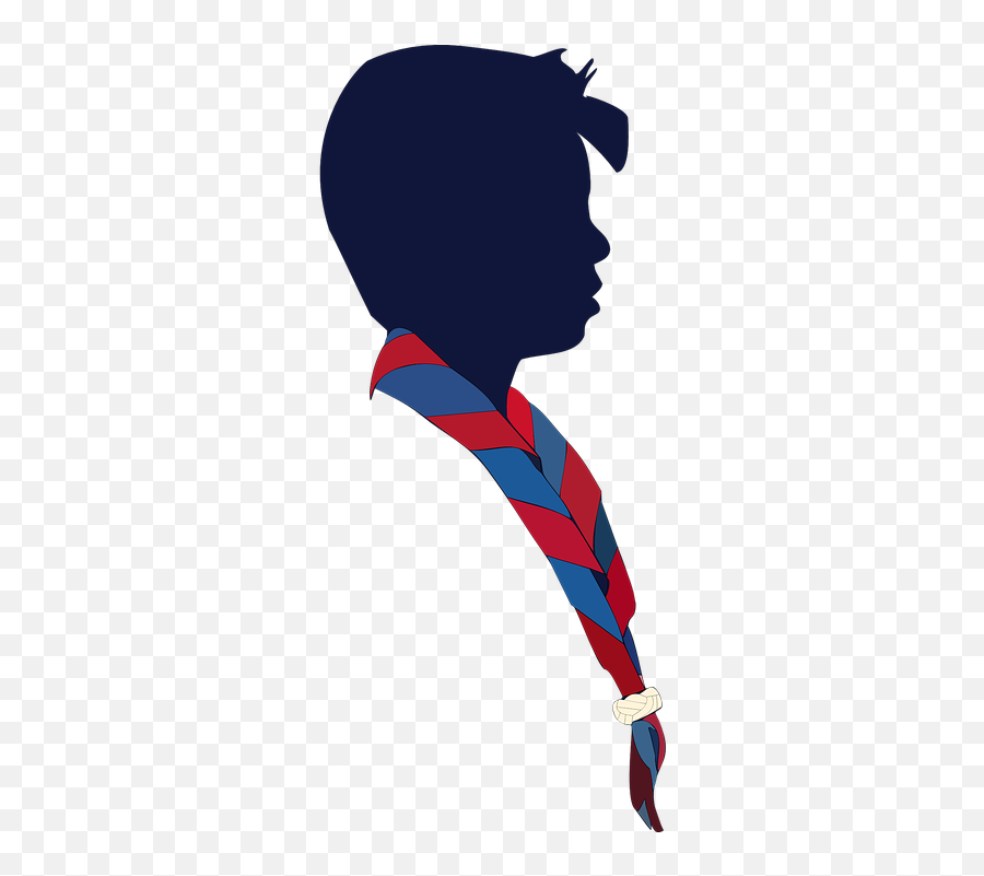 Are Cub Scouts Boy Not Exactly - Foulard Scout Rouge Et Bleu Png,Boy Scout Logo Vector