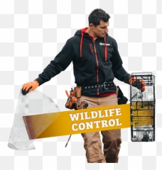 Pest Control Rochester Ny - Tradesman Png,Western Exterminator Logo