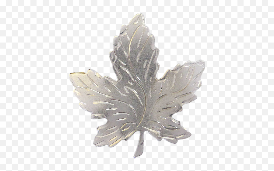 Download Hd Sterling Silver Canadian Maple Leaf Brooch - Solid Png,Canadian Maple Leaf Png