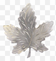 Download Hd Sterling Silver Canadian Maple Leaf Brooch - Solid png