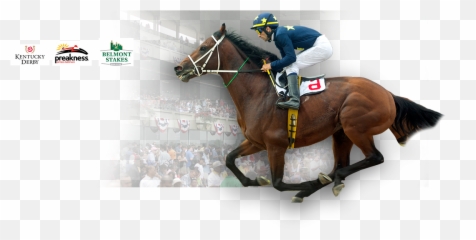 Horse Racing Wagering - Halter Png,Kentucky Derby Logo 2017