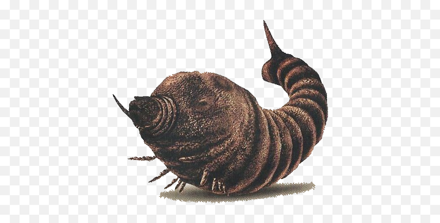 Download Godzilla Save The Earth Mothra Larva - Godzilla Godzilla Save The Earth Mothra Png,Mothra Png