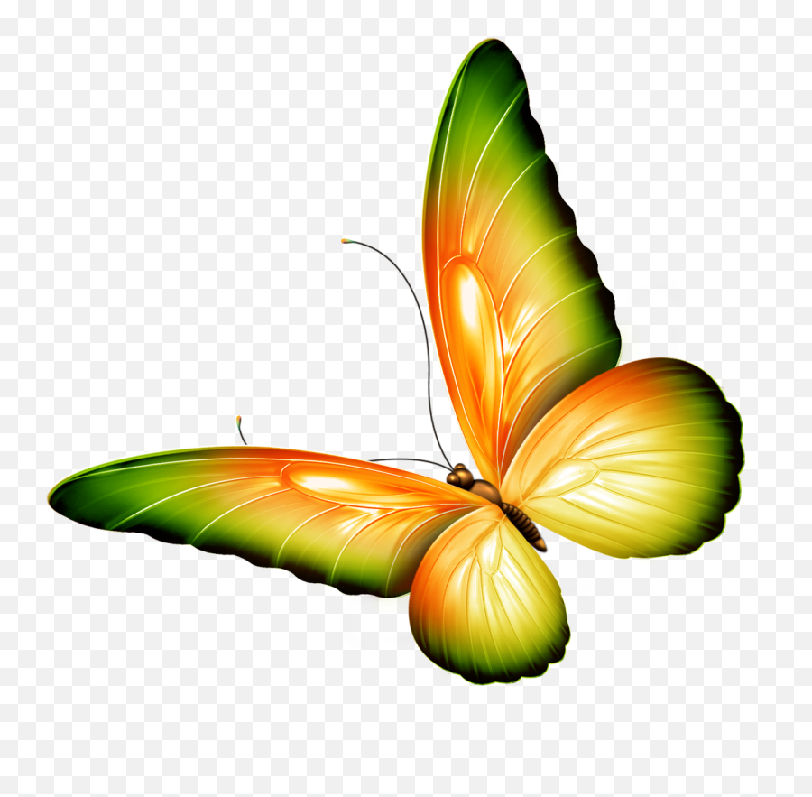 Butterfly Clip Art - Yellow And Green Transparent Butterfly Transparent Butterfly Clip Art Png,Butterfly Clipart Png