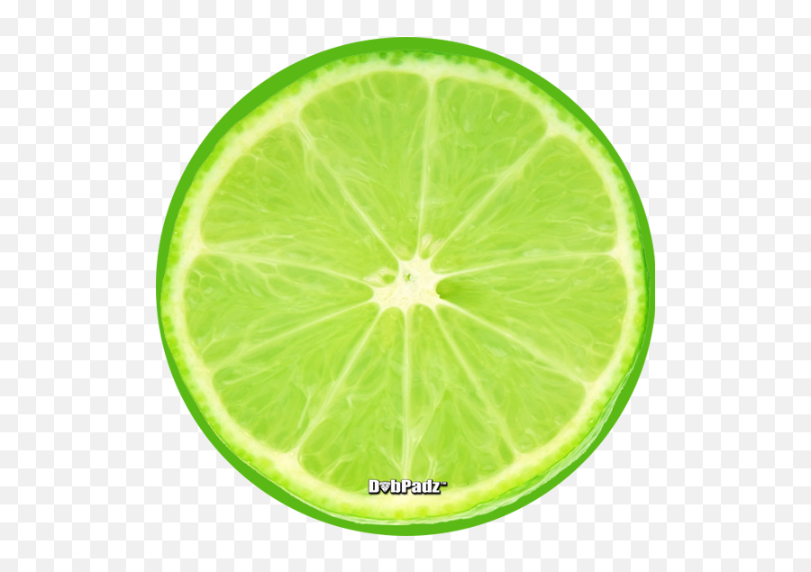Lime Slice - Lime Slice Png,Lime Slice Png