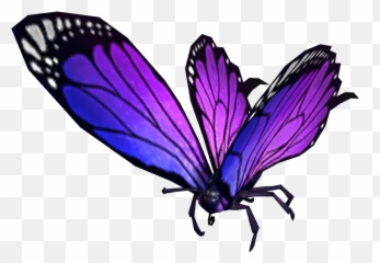 Mounts And Pets To Match The Sprite Darter Wings Transmog - Girly png