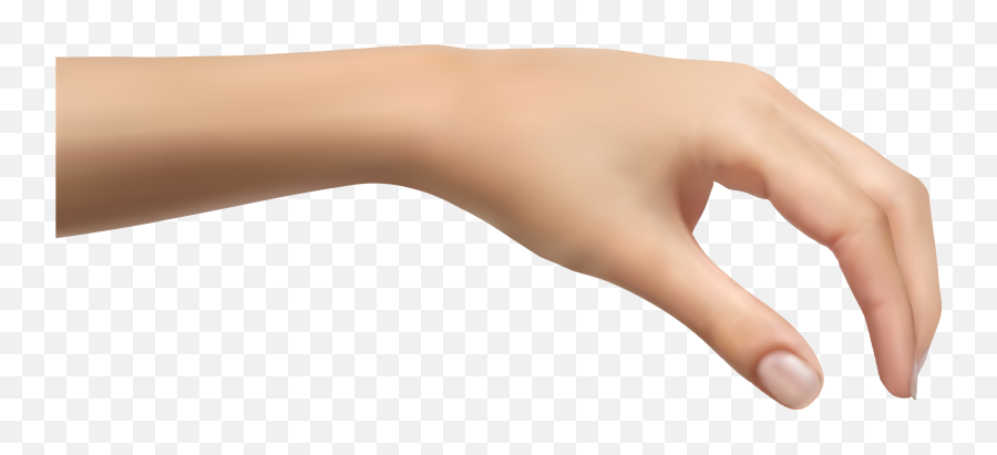 Human Hand Png Hd - Human Hand Png,Hand Transparent Png