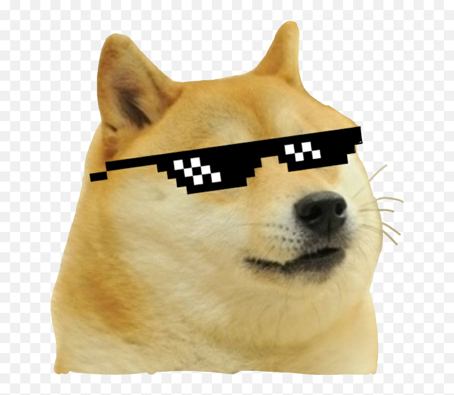 Doge Meme Mlg Dog Doggo Funny - Thug Life Dog Meme Png,Funny Dog Png