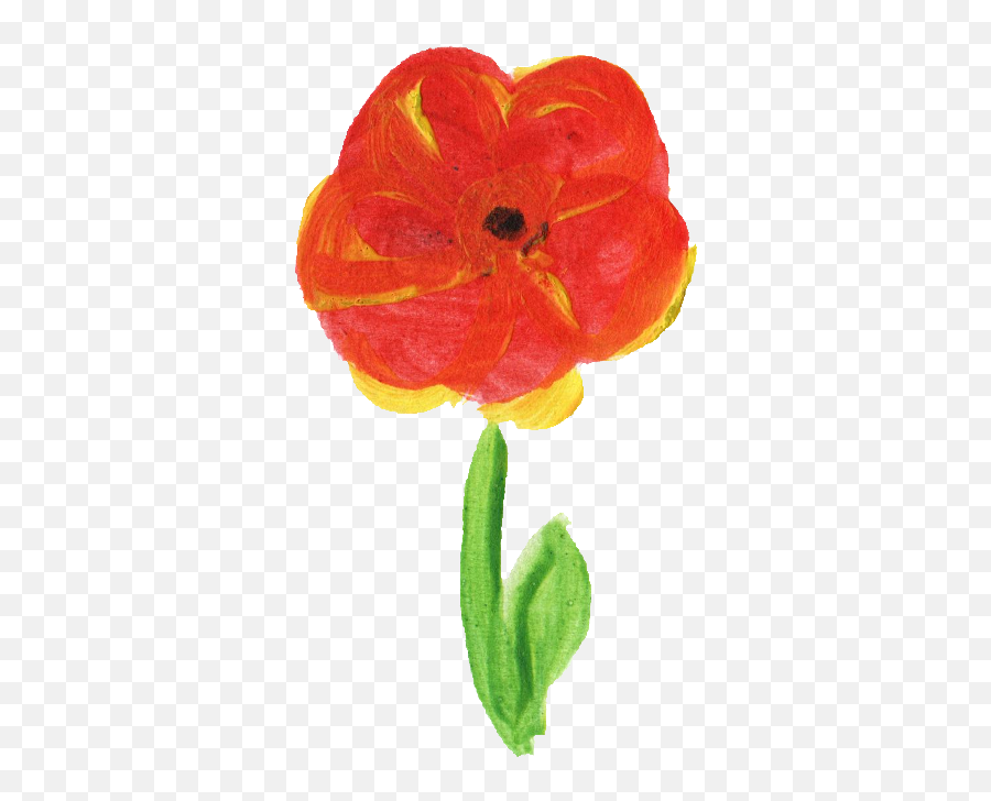 12 Simple Painted Flower - Corn Poppy Png,Simple Flower Png