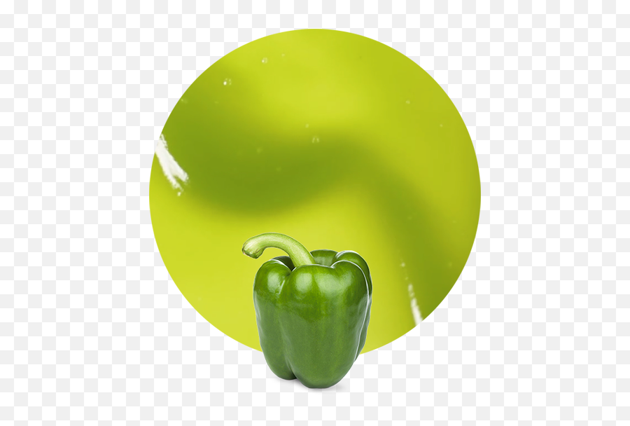 Download Green Pepper - Puree Green Bell Pepper Png Image Green Bell Pepper,Green Pepper Png