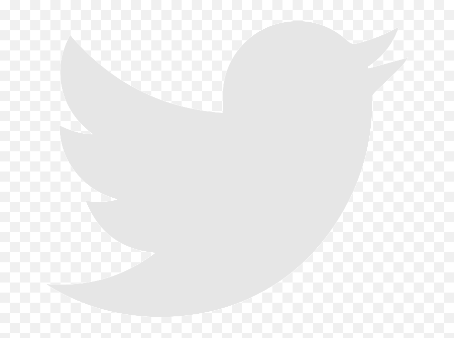 Brand Logo Network Social Twiter Icon - Twitter Logo Png White,Twiter Logo Png