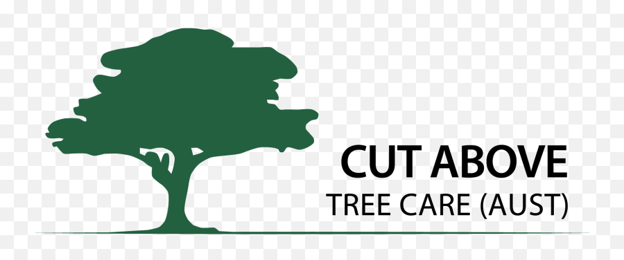 Download Cut Above Tree Care - Clip Art Png,Tree From Above Png