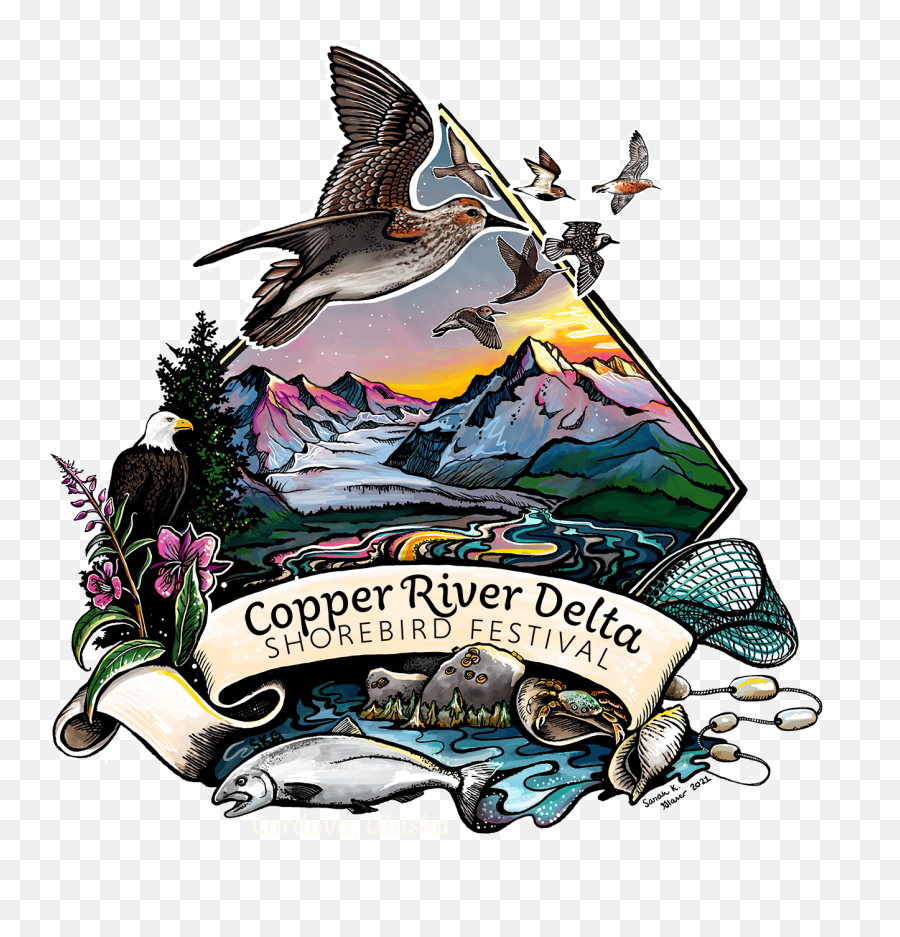 2022 Crd Shorebird Festival U2014 Copper River Delta Png Diamondback Icon 2013