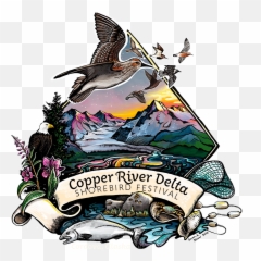 2022 Crd Shorebird Festival U2014 Copper River Delta Png