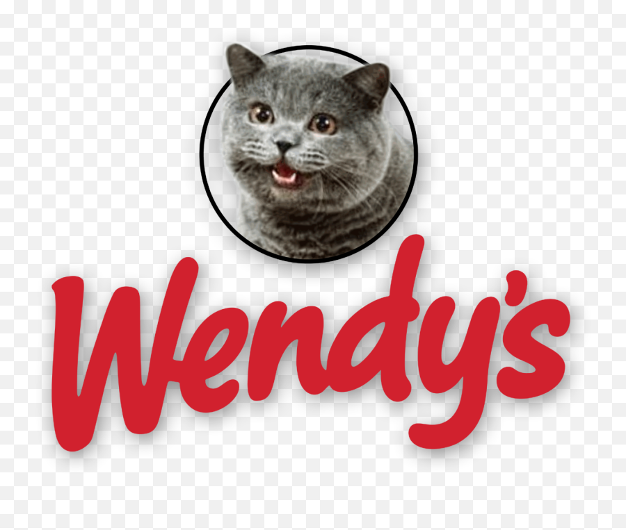 Wendyu0027s Logo With Cheezburger Cat - Wendys Cat Png,Despised Icon Wallpaper
