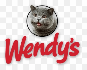 Wendyu0027s Logo With Cheezburger Cat - Wendys png