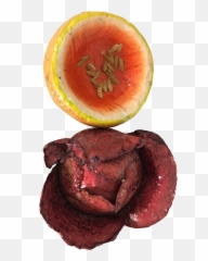 Vintage Paper Mache Fruit Cantaloupe U0026 Red Cabbage Art - A Pair Watermelon Png,Cantaloupe Png