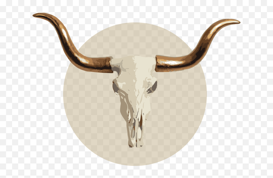 Jacobs Sauces - Texas Longhorn Png,Bull Skull Icon