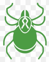 Central New Hampshire Pest And Insect Control Pure Solutions - Allwetterzoo Münster png