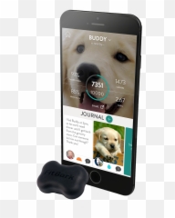 Fitbark 2 Dog Activity Monitor Healthy Together - Fitbark 2 Png,Dog Buddy Icon