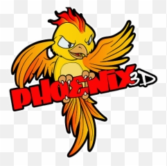 Phoenix3d 3d Printing For Quads Rc And Everything In Between - Phoenix 3d Png,P Png