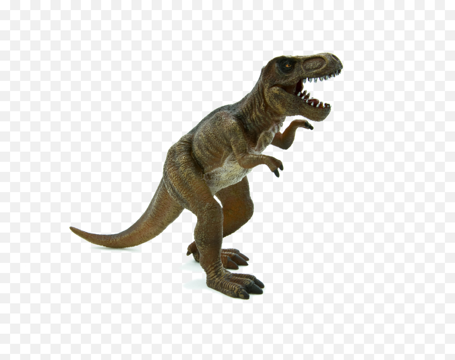 Download Animal Planet - Tyrannosaurus Rex Png Image With No T Rex Stegosaurus,Tyrannosaurus Rex Png