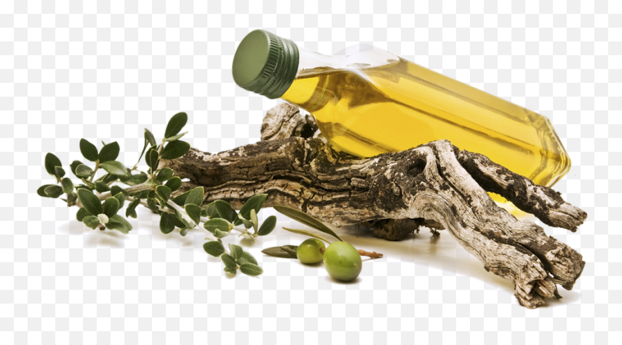 Download Olive Png Image With No - Herbal Olive Png,Olive Png