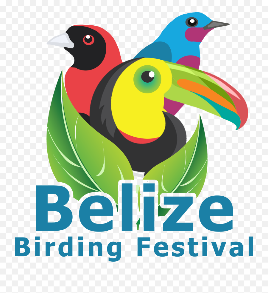 Belize Birding Festival Official Website Png Bird Logo