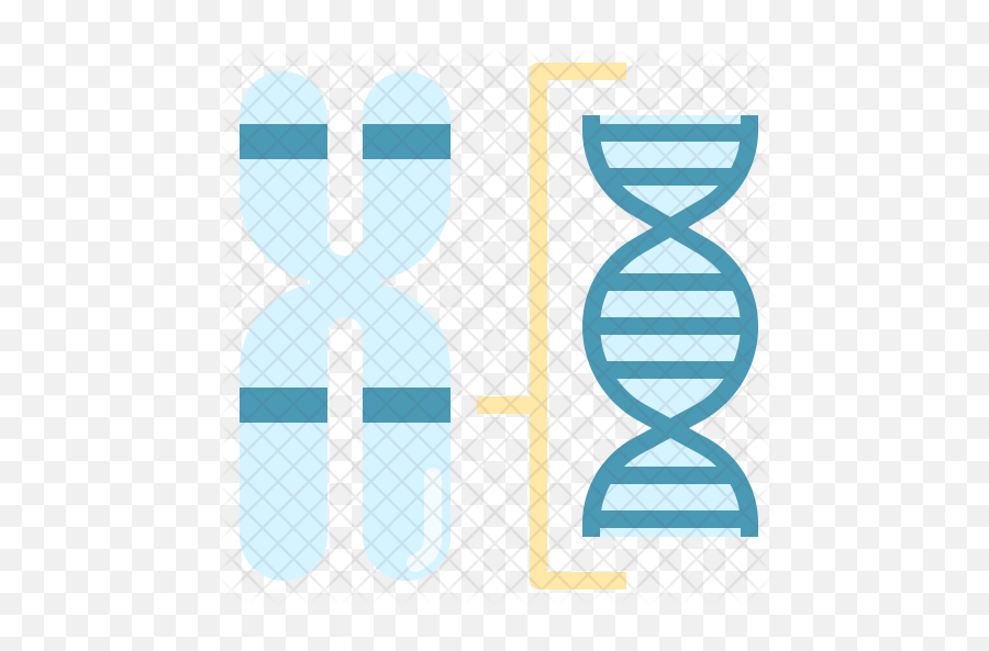 Chromosome Structure Icon - Louvre Png,Chromosome Png