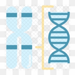 Chromosome Structure Icon - Louvre png