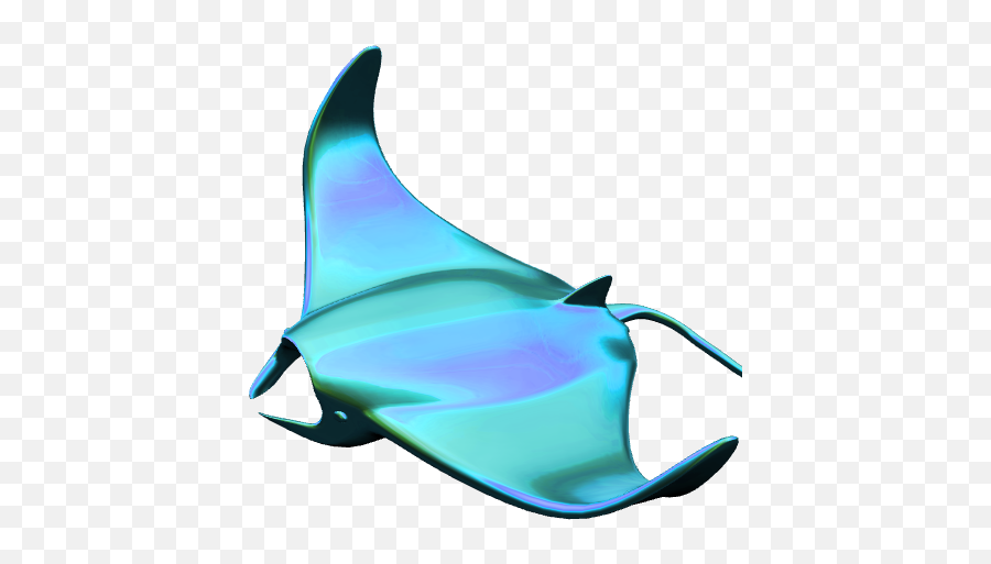 P3din - Manta Ray Wip Sail Png,Manta Ray Png