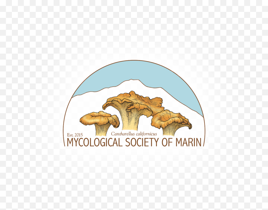 Understanding Mushrooms - Circle Png,Mushroom Logo