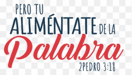 Jjss 2019 Juventudycandidatos - Calligraphy png
