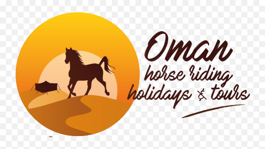 Horse - Riding In Oman Horseback In Oman Horse Trip Stallion Png,Horse Transparent