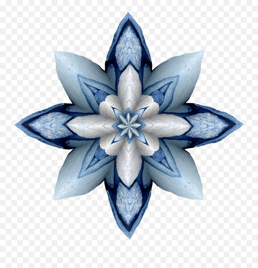 Blue Flower 2020 - Icon Png,Blue Flower Transparent