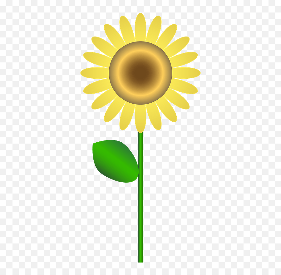Sunflower Clipart - Sun Flower Clipart Png,Sunflower Clipart Png
