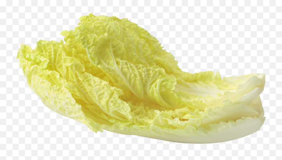 Salad Png - Yellow Lettuce Leaves,Salad Png
