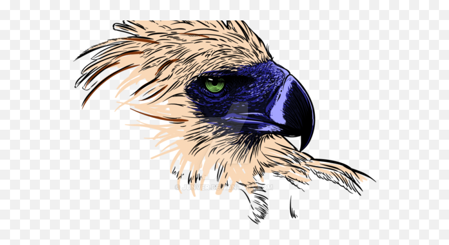 Download Phillipine Eagle Clipart Vector - Philippine Eagle Golden Eagle Png,Eagle Clipart Png