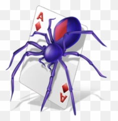 How To Play Spider Solitaire - Windows 7 Game png