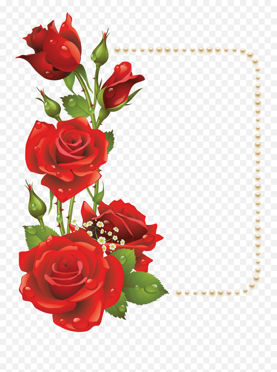 Valentines Day Roses Clipart - Rose Flower Frames Design Png,Rose Clipart Transparent Background