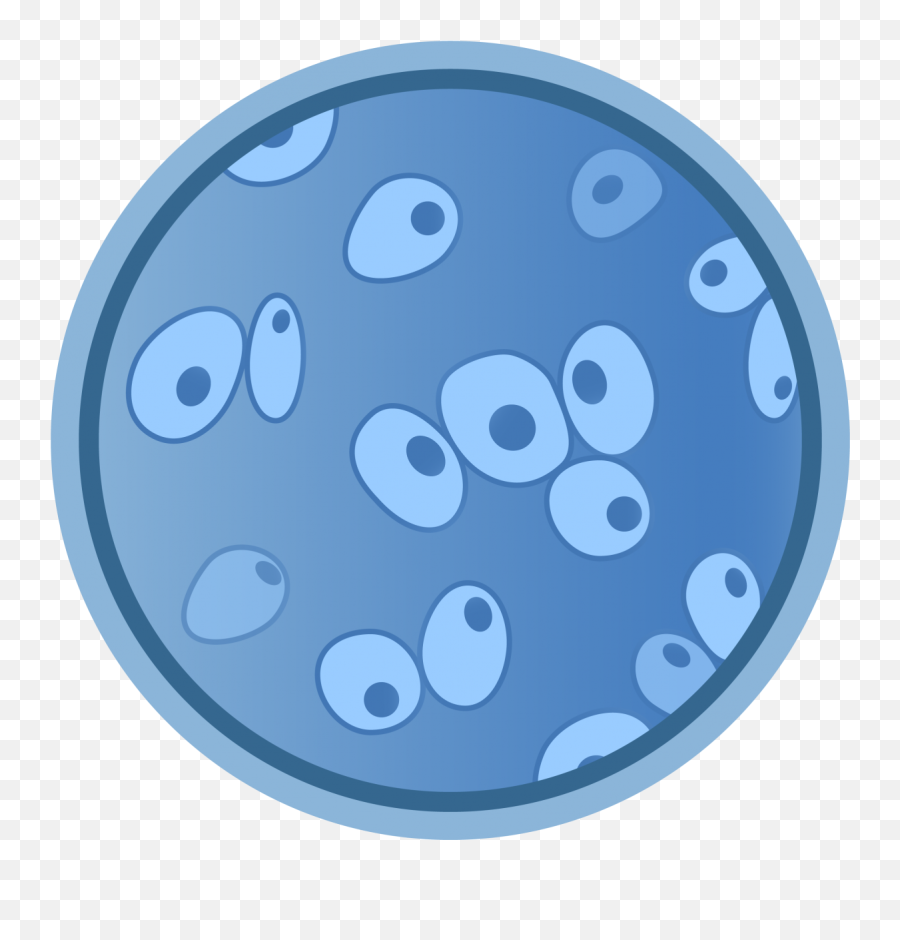 Pneumocystis Pneumonia - Animated Audio Icon Gif Png,Diagnose Icon