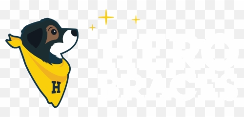 Bracing Made Simple - Support for Dogs Language png