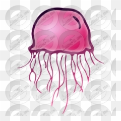 Jellyfish Picture For Classroom Therapy Use - Great png