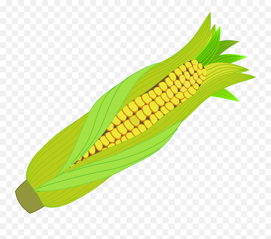 Icon Corn Cob - Corn Illustration Png Full Size Png Corn Svg,Corn Icon Png