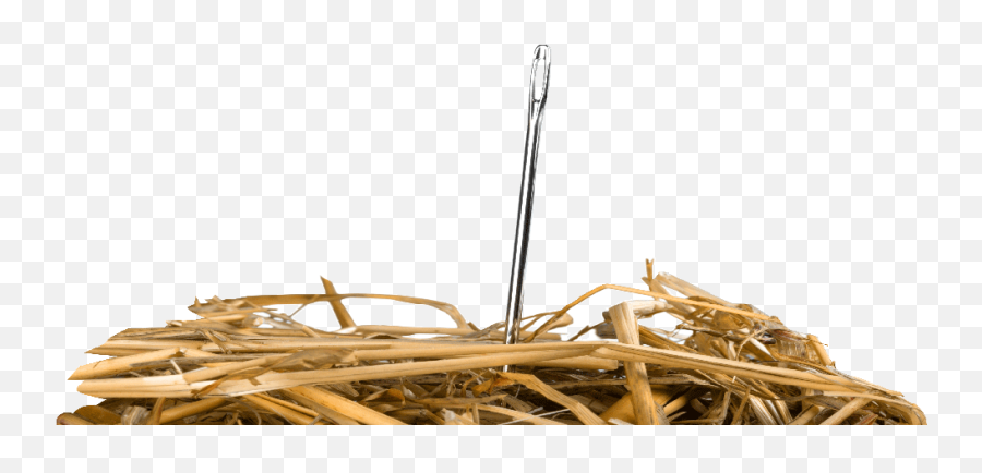Needle In A Haystack What Tech Advances Are Shaping Drug - Needle In Haystack Png,Needle Transparent