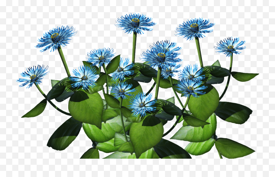 Download Blue Plant Png - Flower Bush Png Transparent Full Bush Transparent Plants Png,Bush Transparent Background