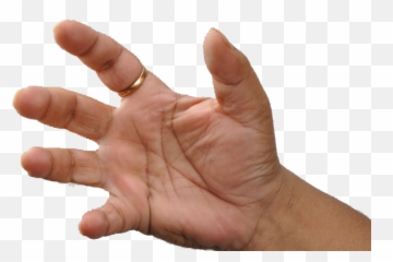 Four Fingers Png 3 Image - Differents Paume De La Main,Fingers Png