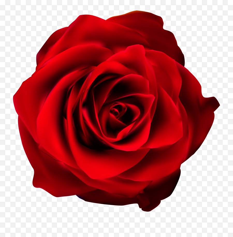 Red Rose Transparent Png Clip Art - Transparent Background Red Flower  Png,Rose Transparent - free transparent png images 